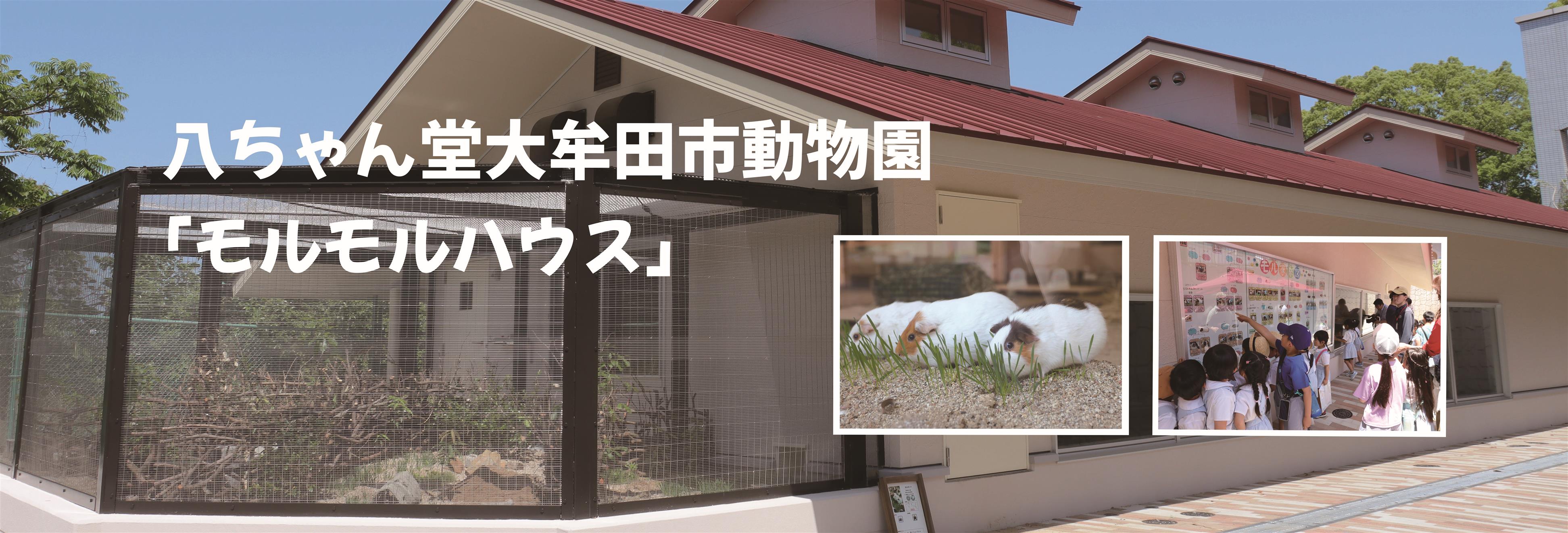 モルモルハウスオープン