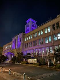 パープルライトアップ