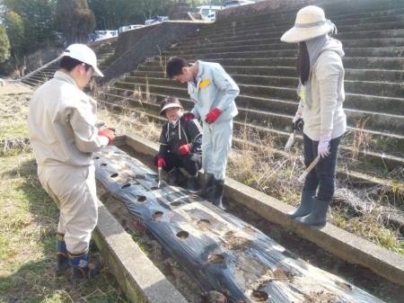 農耕班はジャガイモの苗植え