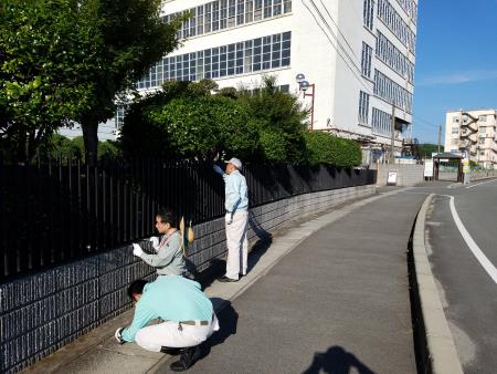 柵や植え込みの確認