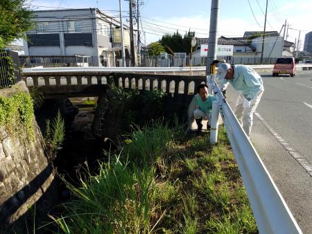 ガードレールの確認