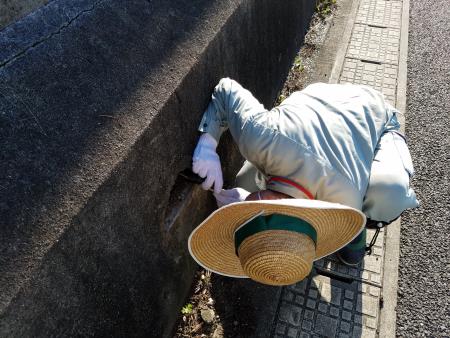 排水溝の確認