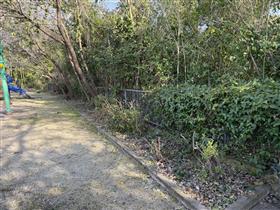 深倉公園作業後(2)