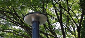 諏訪公園　作業後