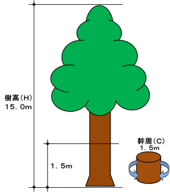 保存樹の指定基準