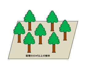 保存樹林の指定基準