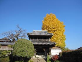 託随寺