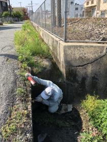 道路脇の排水溝を点検