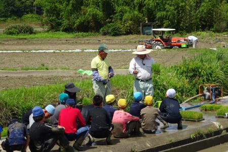 上内田植え2.JPG