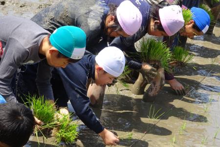 上内小田植え3