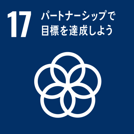 Downloadssdg_icon_17