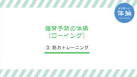 (3)-5猫背予防の体操（ローイング）