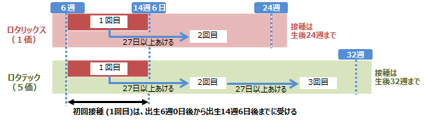 スケジュール