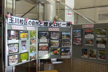 Downloadsロビー展2