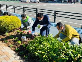 11月20日花街道プロジェクト