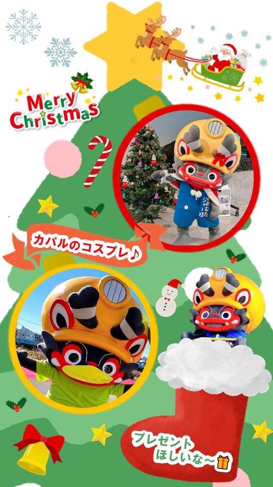 12月