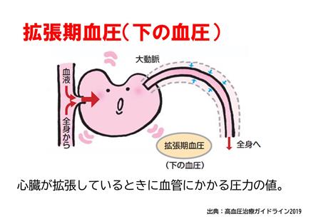 拡張期血圧の説明