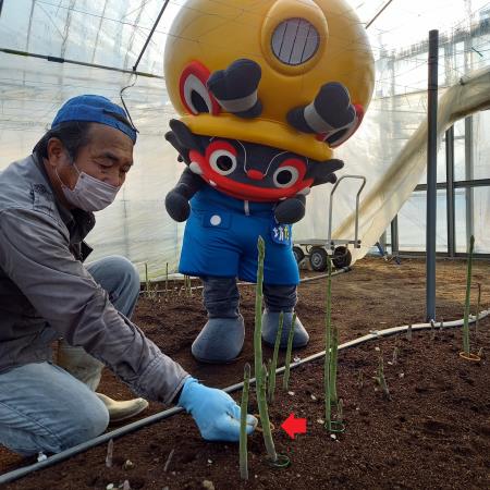 輪ゴムと山口さん