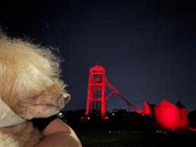 38_5_IMG_3931