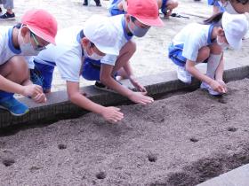 種をまく子どもたち