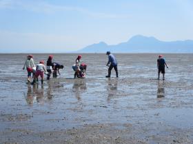 どんどん先に進んで生き物を見つける子どもたち