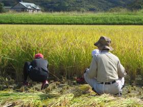 後ろから指導してくださる地域の方