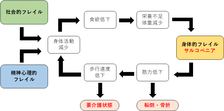 フレイルの悪循環の図