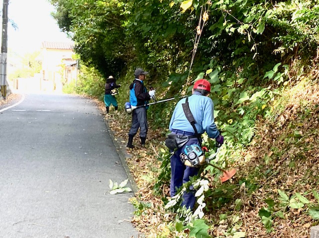中学校通学路除草