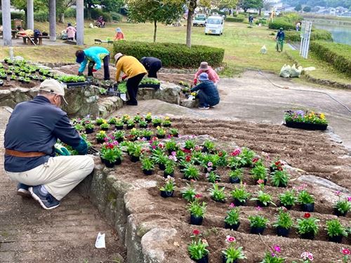 一部橋公園花苗植え