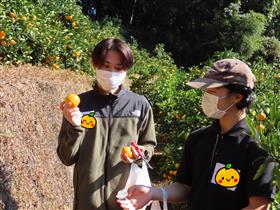 収穫したみかんを持った参加者