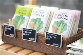 高菜