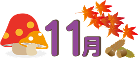１１月