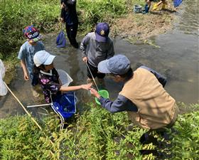 生き物の様子を観察する児童