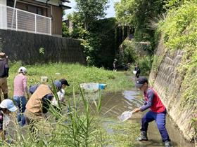 水中の生き物を観察する児童