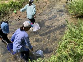 生き物を採集しようと息を潜める児童