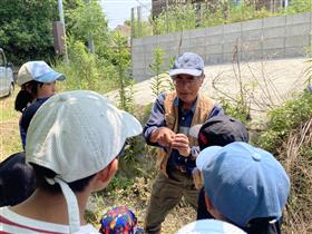 生き物について説明する柿川さん