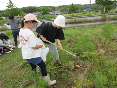 じゃがいも２