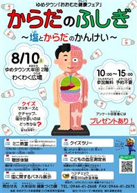 からだのふしぎのチラシ