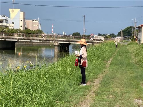 陸上監視