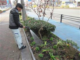 水やり写真１