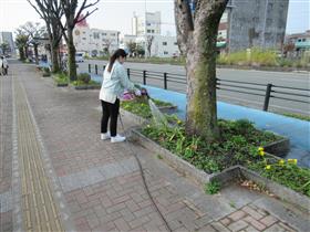 水やり写真２