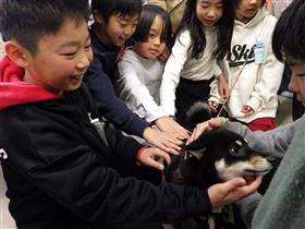 保護犬と触れ合う児童