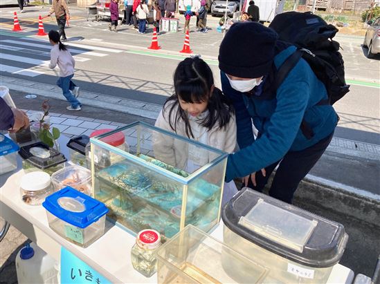 水辺の生き物コーナー