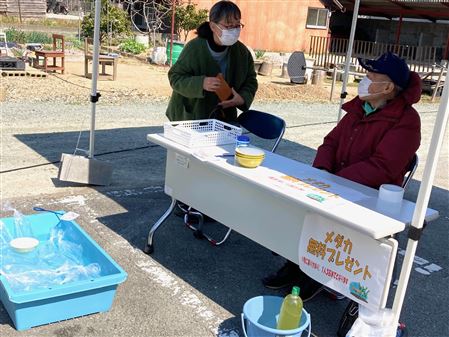 めだか配布
