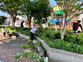 除草