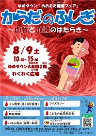 チラシ