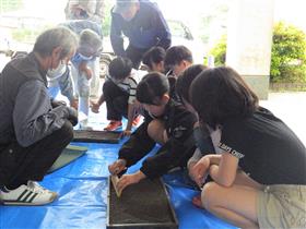 水稲育苗培土を平らに敷く様子