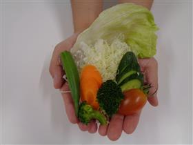 生野菜両手3杯分