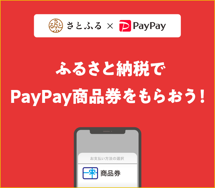 PayPayBN1