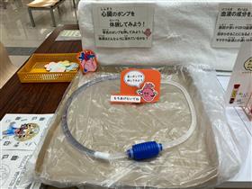 展示(ポンプ)